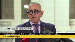 Manitoba PCs want more help for producers of seed potatoes News Clip