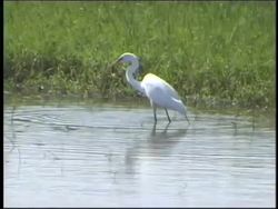 The Atmosphere: the Hydrosphere and Lithosphere Instructional Video