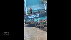 Deer swims in indoor municipal pool in southwestern Ontario News Clip