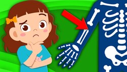 Learn About The Funny Bone! Instructional Video