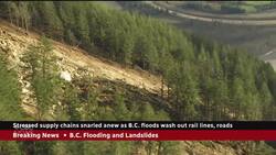 Washed out B.C. rail lines, roads add to supply chain woes News Clip
