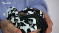 Sugar Glider Myths & Scams Instructional Video