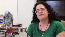 Allison Kaufman - Animal Cognition Instructional Video