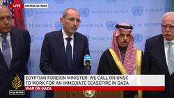 Saudi FM Faisal bin Farhan Al Saud call for immediate and sustainable ceasefire in Gaza News Clip