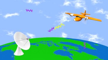 Bats Use Sonar