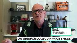 Give Musk Some Credit for the Dogecoin Rally: Novogratz News Clip