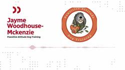 People had to leave their pets behind to escape the wildfires. Here's who's helping News Clip