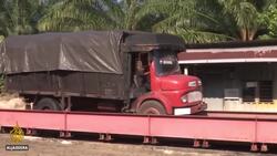 US bans palm oil imports from Malaysian producer FGV News Clip