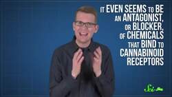 CBD: Marijuana Without the High Instructional Video