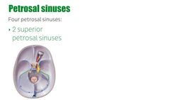 Petrosal sinuses Instructional Video