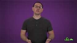 Getting To Know Cows Inside and Out | Compilation Instructional Video