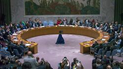 U.S. vetoes Palestinian request for full UN membership News Clip