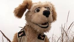 Animal Alphabet: A is for Armadillo Instructional Video