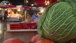 CLEAN : Greens hope to make gains in Rouen local elections News Clip