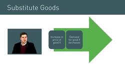 Introduction to Cross Elasticity of Demand and Classification of Substitute and Complementary Goods Instructional Video