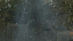 Day 4 - Exploding Planet Earth - The Slow Mo Guys Instructional Video