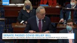 Senate Passes COVID Relief Bill Without $15 Minimum Wage News Clip