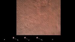 NASA geobiologist Kelsey Moore on life on Mars and what we can expect to find News Clip