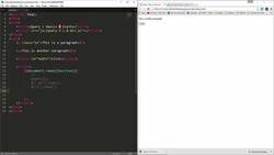 The Full Stack Web Development - DOM Manipulation - Project on DOM Instructional Video