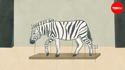 TED-Ed: Can zoos actually save species from extinction? | Nigel Rothfels Instructional Video