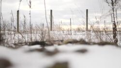 Views inside the Chernobyl exclusion Zone News Clip