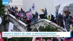 Insurrection: What Comes Next After Senate Blocked Commission? News Clip