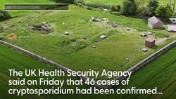 Confirmed cases of parasite double as more than 100 report symptoms News Clip