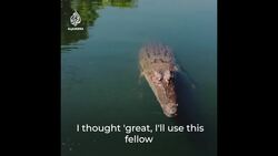 Watch this crocodile take a drone out of the air in Australia News Clip