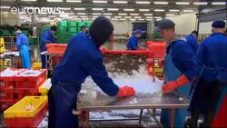 Brexit: fishing industry faces choppy waters News Clip