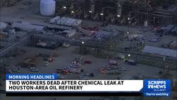 2 dead, dozens injured after chemical leak at Texas plant News Clip