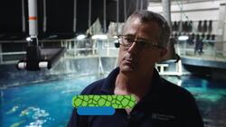 How Aquarists Feed Sharks Instructional Video