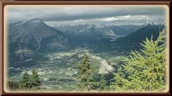 A Compare and Contrast Essay Instructional Video