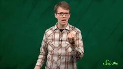 The Science of Sweetness Instructional Video