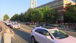 Aretha Franklin funeral draws pink Cadillacs, fans, tribute artist Instructional Video