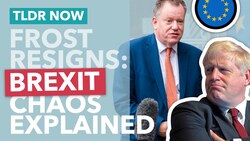 Britain's Brexit Negotiator Quits: What Now for Brexit? - TLDR News Instructional Video