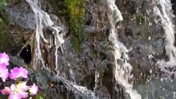 Splashing water in slow motion 180fps Stock Footage