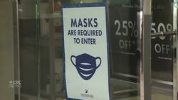 B.C. hits new record for daily COVID-19 cases News Clip