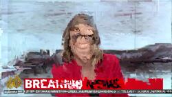 Nigeria oil pollution News Clip