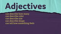 Describe That to Me Instructional Video