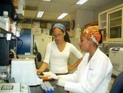 Investigando la herencia: recapitulando Instructional Video