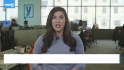 Study Finds Steep Decline In Some Antarctic Penguin Colonies News Clip