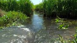 NSF funds precision agriculture for food security Instructional Video