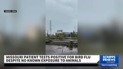 Typhoon Yagi makes deadly landfall in Vietnam News Clip