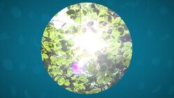 I WONDER - What Is A Trophic Level? Instructional Video