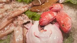 Fresh fish on ice at counter market Stock Footage