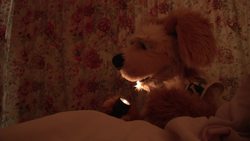 Flash: Glow Worms Instructional Video