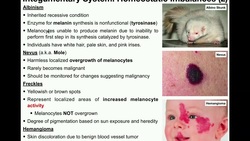 Anatomy | Imbalances of the Integumentary System Instructional Video