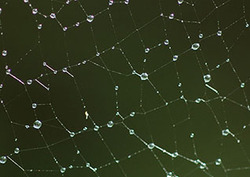Nucleation Instructional Video