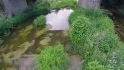Flying above small river with green grass - Stock Video Stock Footage
