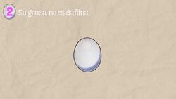 ¡Huevos! 8 datos curiosos Instructional Video